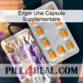 Ériger Une Capsule Supplémentaire new12